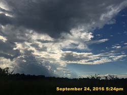 IMG_2786
