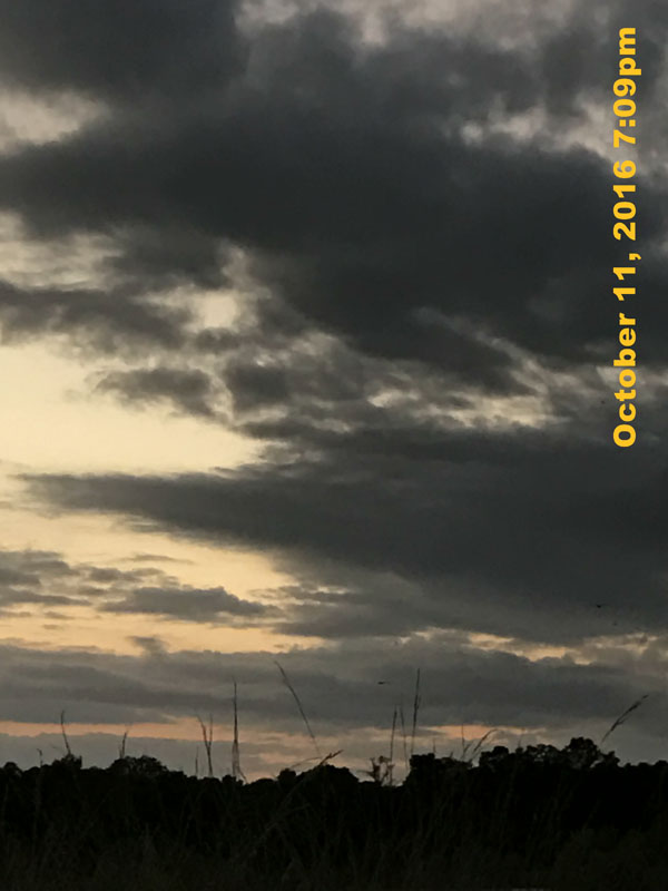 IMG_0309