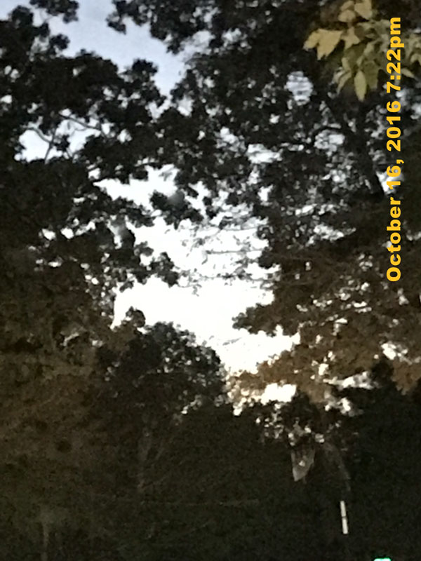 IMG_0561
