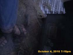 IMG_0041