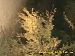 IMG_0054