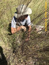 IMG_0175