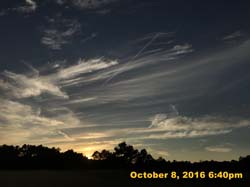 IMG_0185