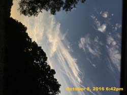 IMG_0186