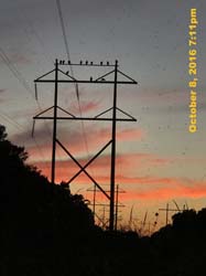 IMG_0196