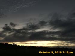 IMG_0234