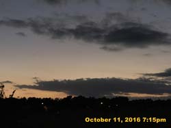 IMG_0313