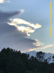 IMG_0401