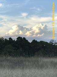 IMG_0404