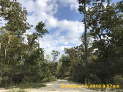 IMG_0454