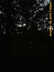 IMG_0463