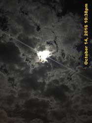 IMG_0470