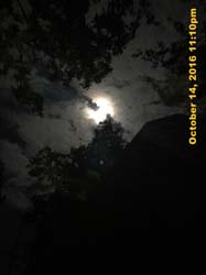 IMG_0473