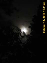 IMG_0474