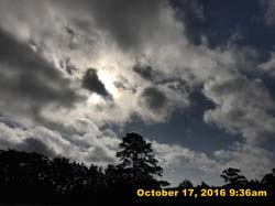 IMG_0580
