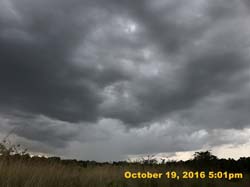 IMG_0637