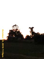 IMG_0700