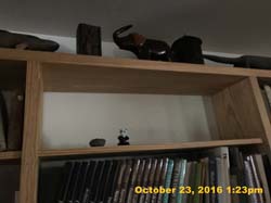 IMG_0806