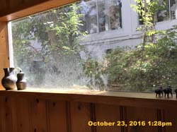 IMG_0815