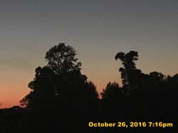 IMG_0921