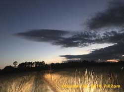 IMG_1020