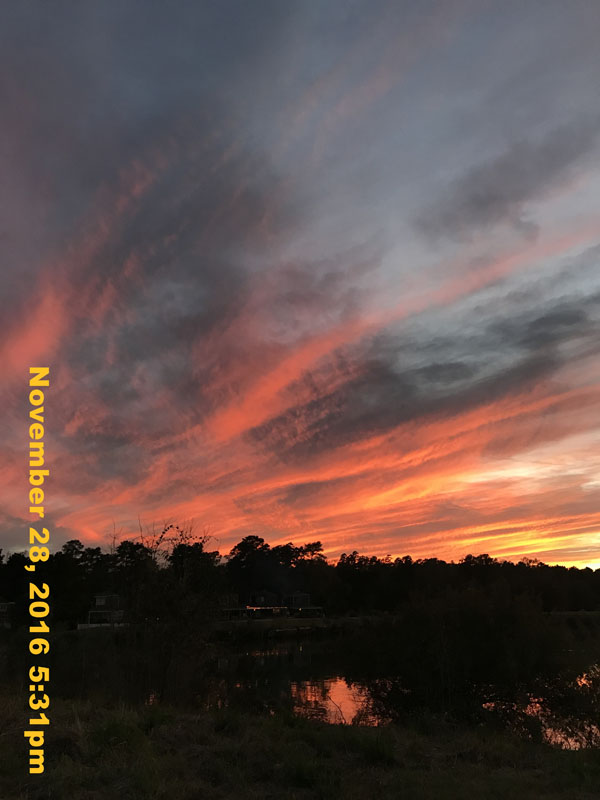 IMG_2019