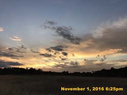 IMG_1110