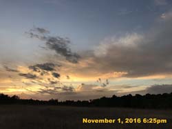 IMG_1111