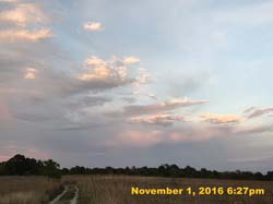 IMG_1113