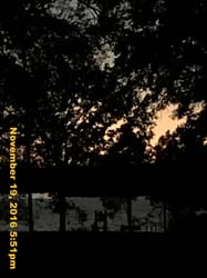 IMG_1648