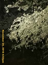 IMG_1671