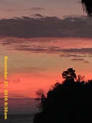 IMG_1966