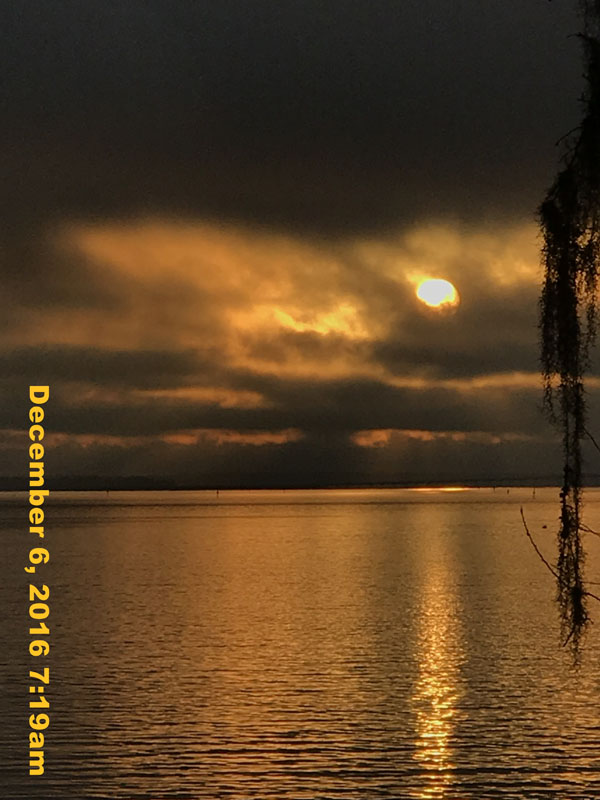 IMG_2281