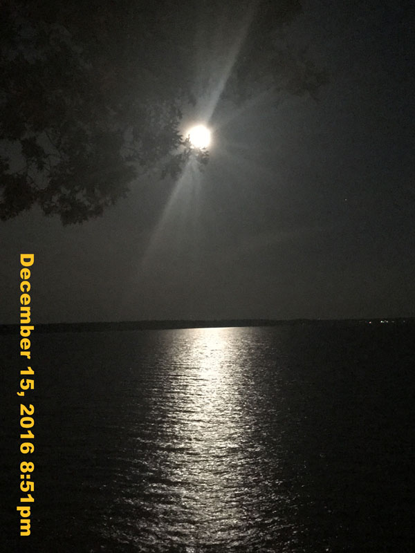 IMG_2578