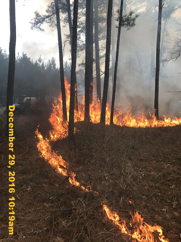 IMG_3268
