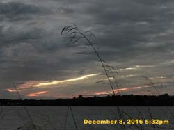 IMG_2351