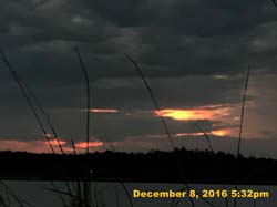 IMG_2352
