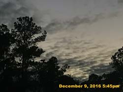 IMG_2436