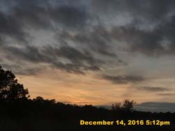 IMG_2550