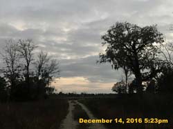 IMG_2552