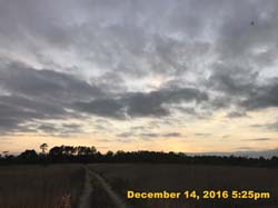 IMG_2553