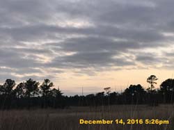 IMG_2554