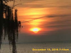 IMG_2565