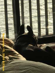 IMG_2566