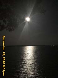 IMG_2578