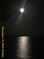 IMG_2579