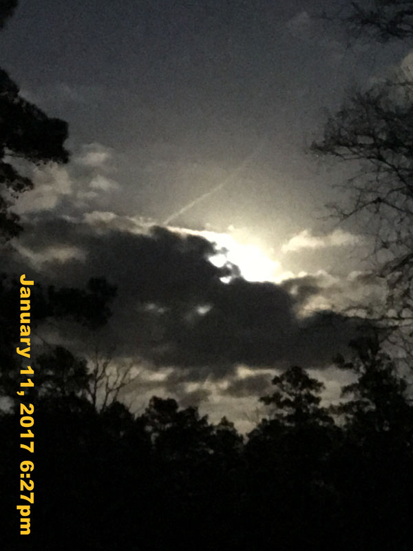 IMG_3817