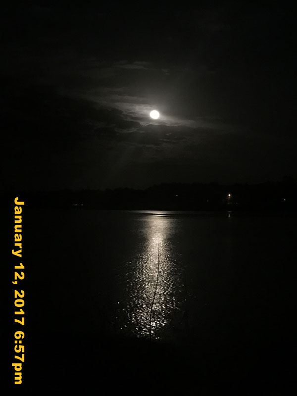 IMG_3858