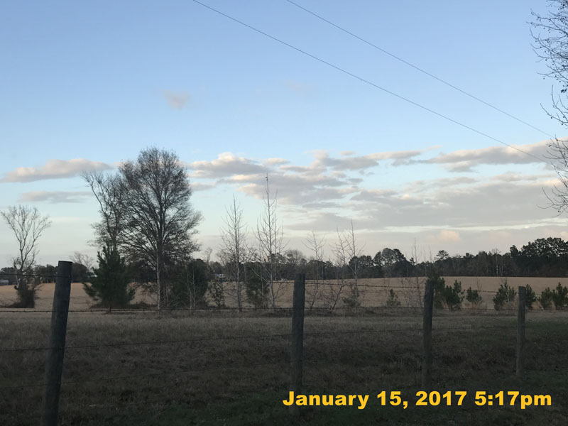 IMG_3963