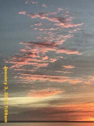 IMG_3519